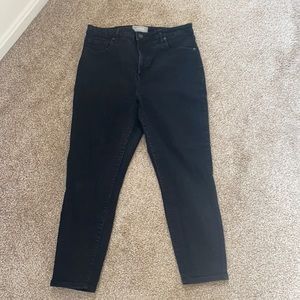 Everlane Curvy High Rise Skinny (Ankle) Jean